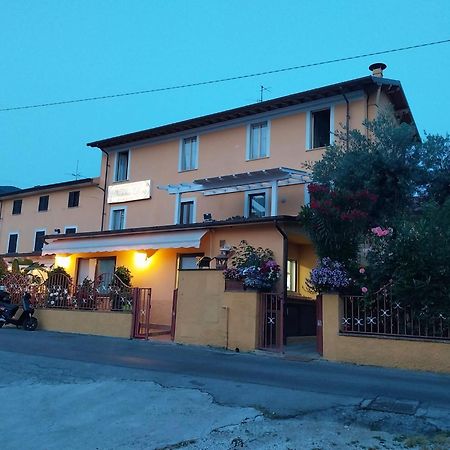 Nonna lory Bed and Breakfast Pietrasanta Eksteriør billede